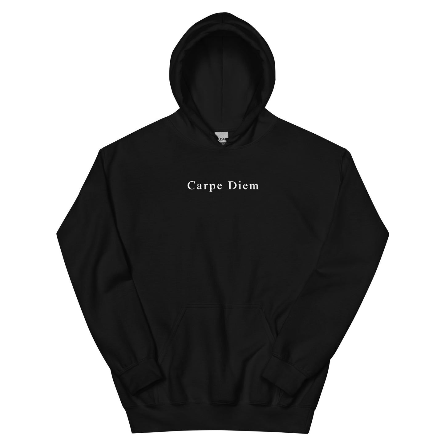 Carpe Diem Unisex Hoodie