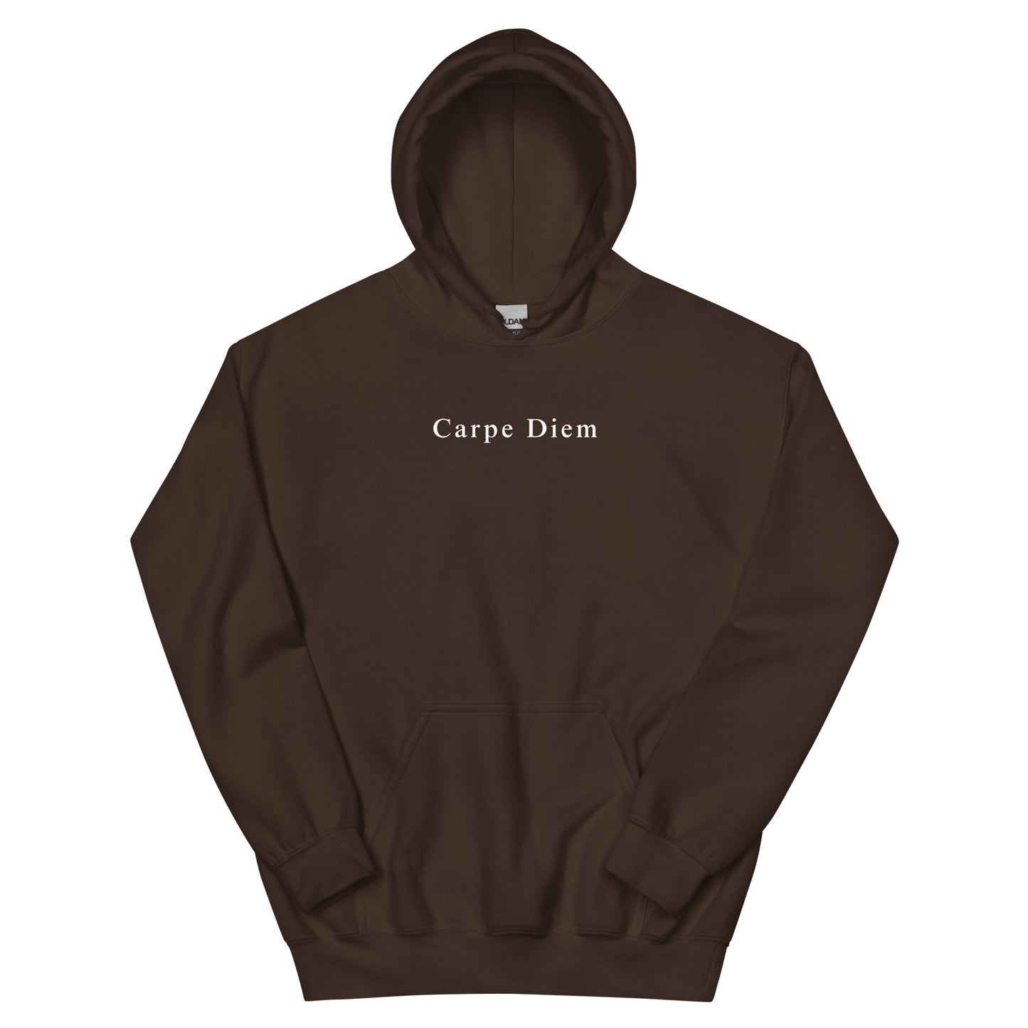 Carpe Diem Unisex Hoodie