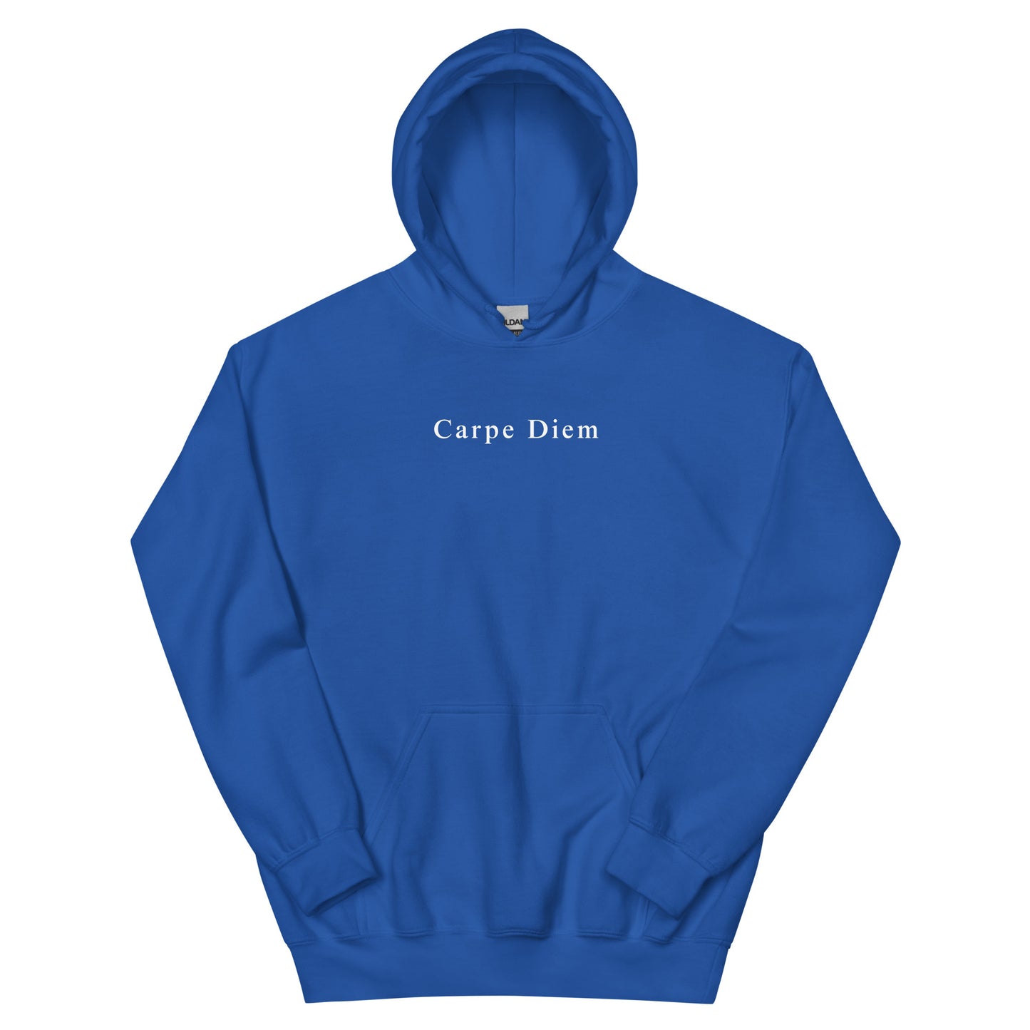 Carpe Diem Unisex Hoodie