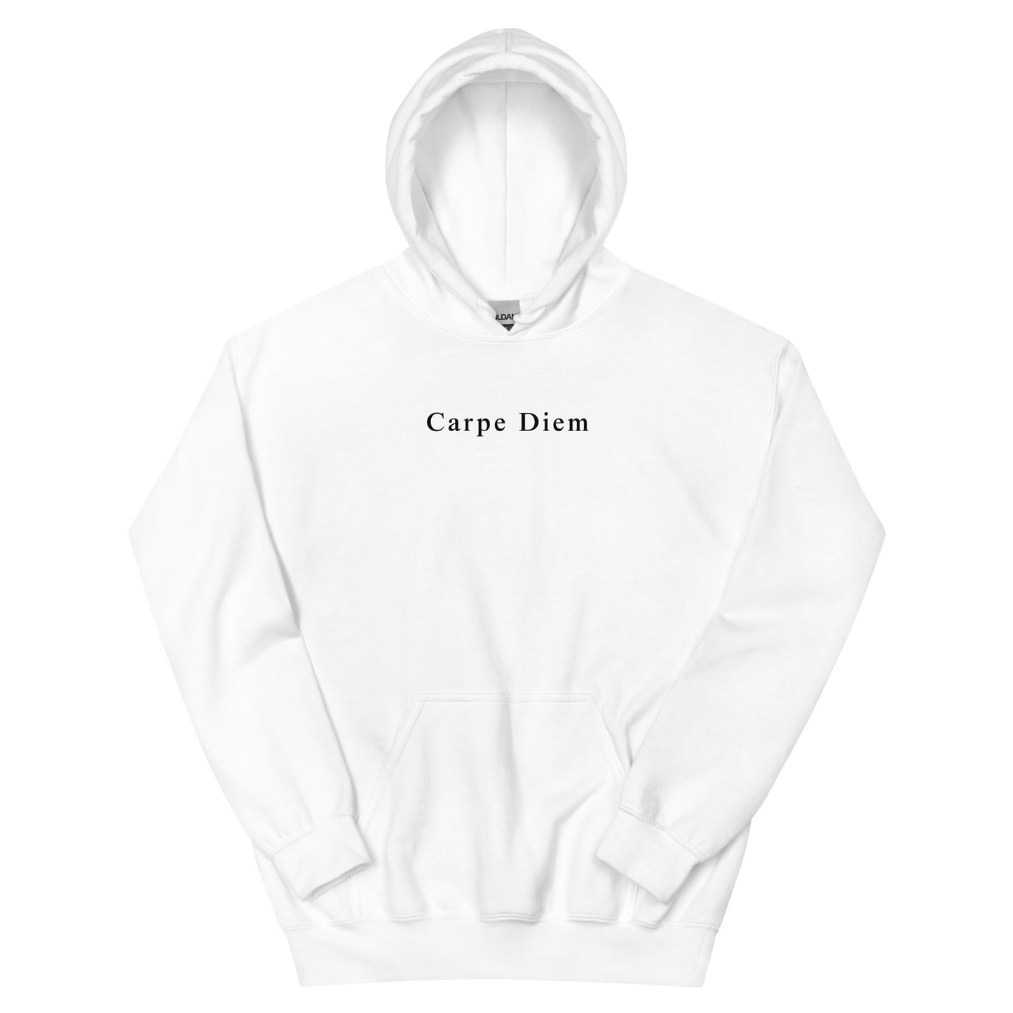 Carpe Diem Unisex Hoodie